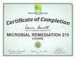 Certificate showing our RSA Microbial Remediation award