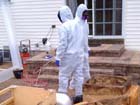 Mold remediation in action.