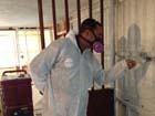 A member of our expert mold removal team hard at work.