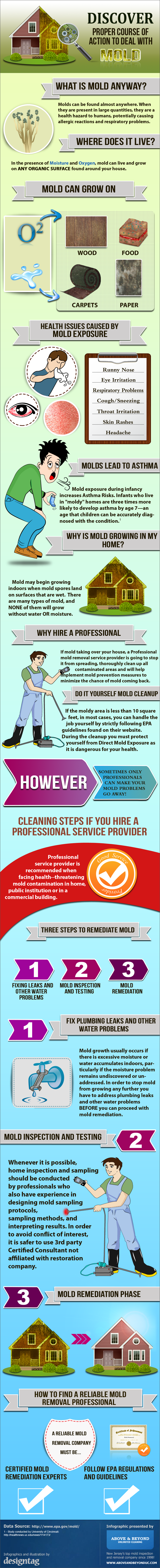 How to deal with household mold - Infographic