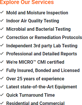 Mold Inspection Butler, Morris County New Jersey 07405