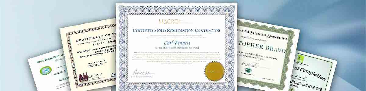 Mold inspection and remediation in Ulster County New York 