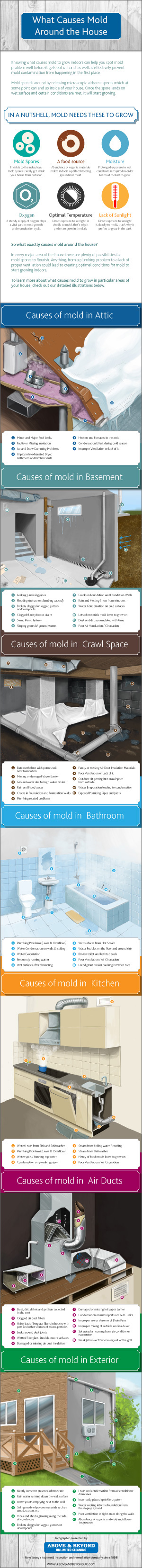 Inforaphic: What causes mold around the house