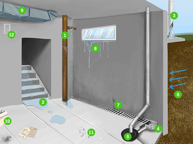 Causes of mold in a basement.