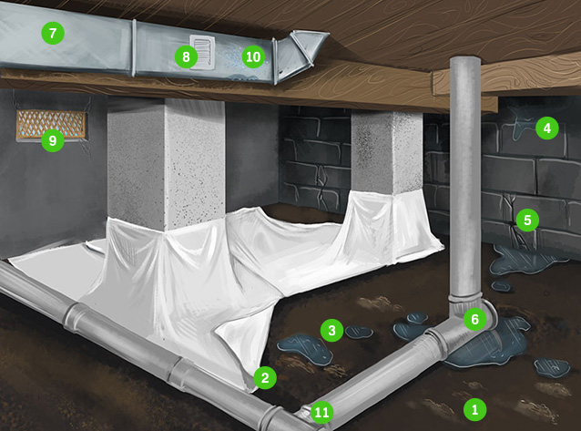 Causes of mold in a crawl space.