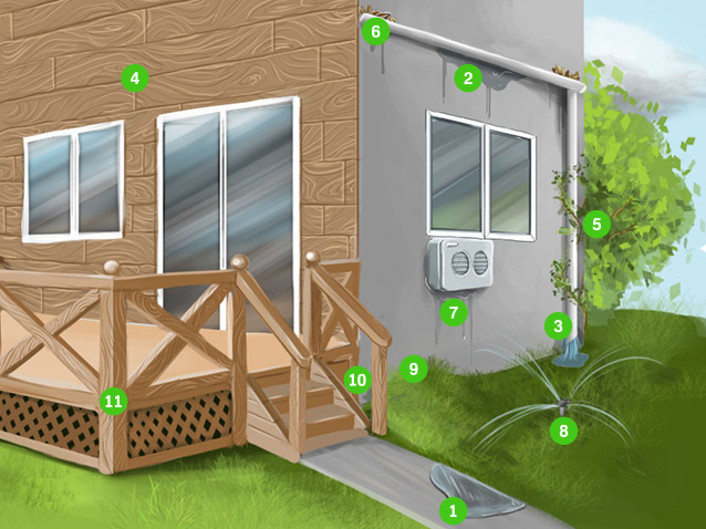 Causes of mold on the exterior of a building.