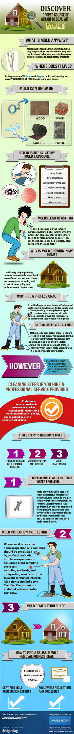 Inforaphic: How to deal with household mold