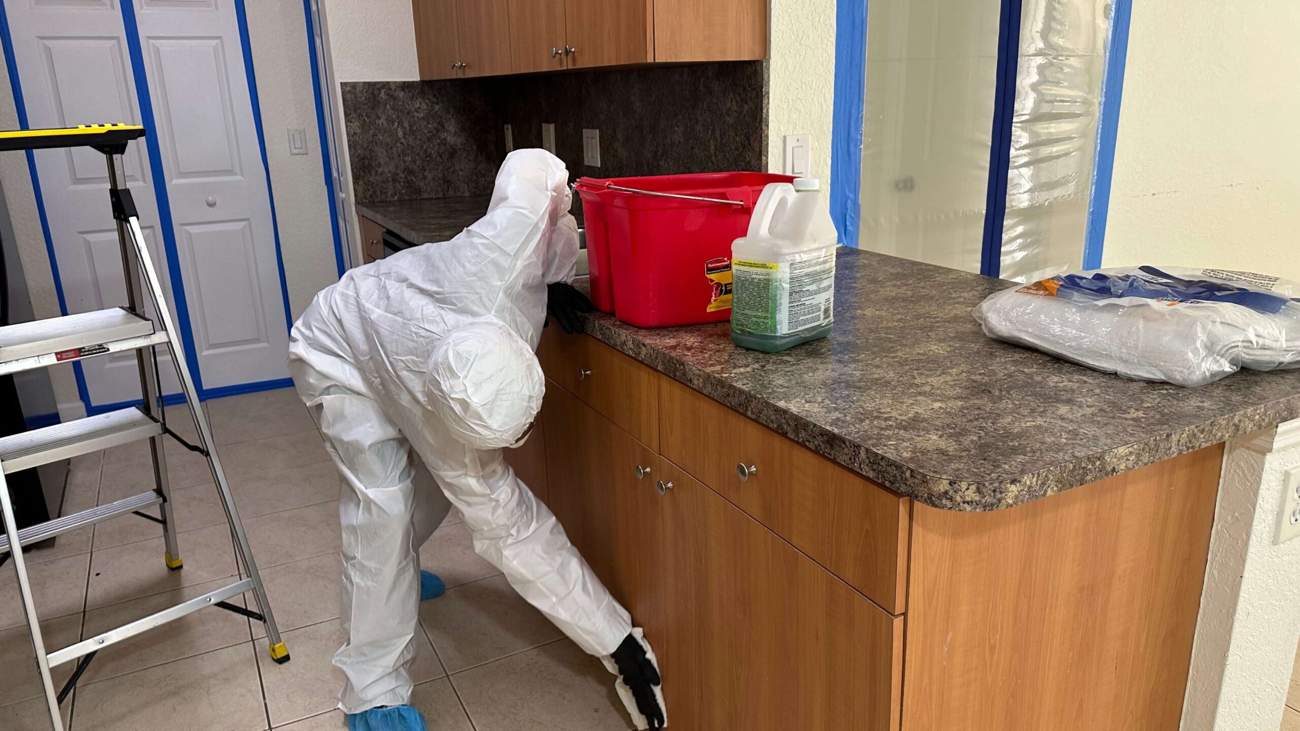Kitchen Mold Removal and Remediation NJ