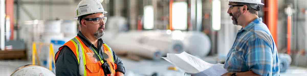 Mold Remediation Protocol