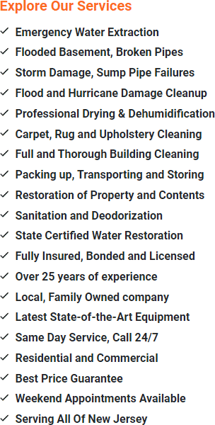 Flood Cleanup Branchburg, Somerset County New Jersey 08853, 08876