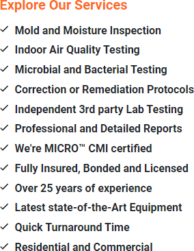 Mold Inspection Bernards, Somerset County New Jersey 07920, 07938, 07939, 07931