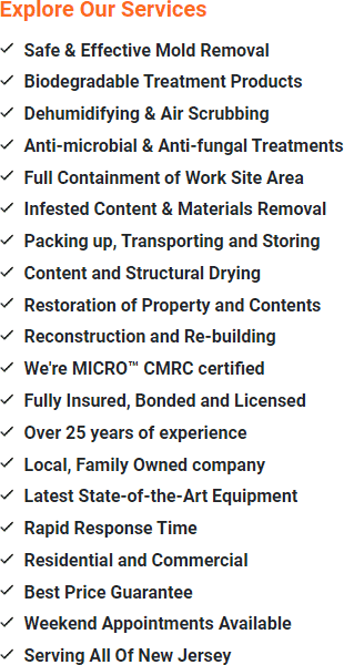 Mold Removal Clinton, Hunterdon County New Jersey 08833, 08829, 08801, 08809, 08822, 08827, 08804, 08854, 07830