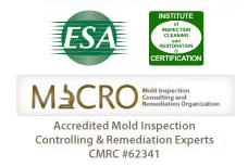 Certified Mold Professionals