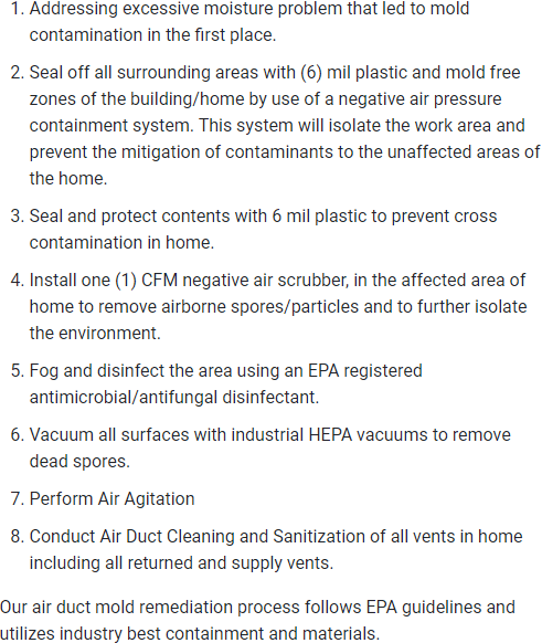 Air Duct Mold Removal Process