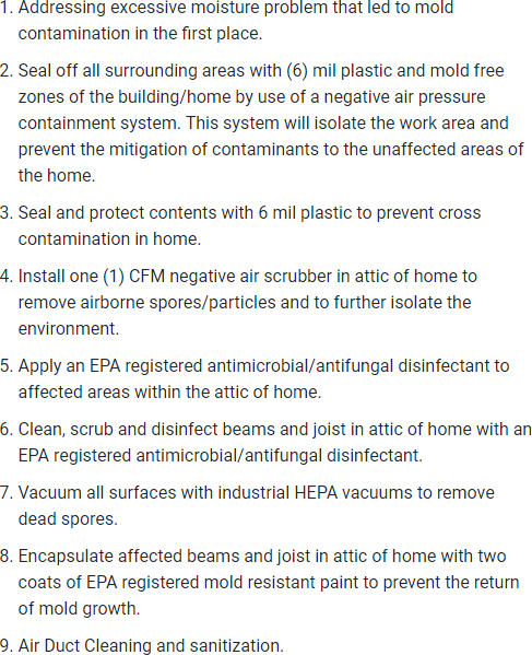Attic Mold Removal Process