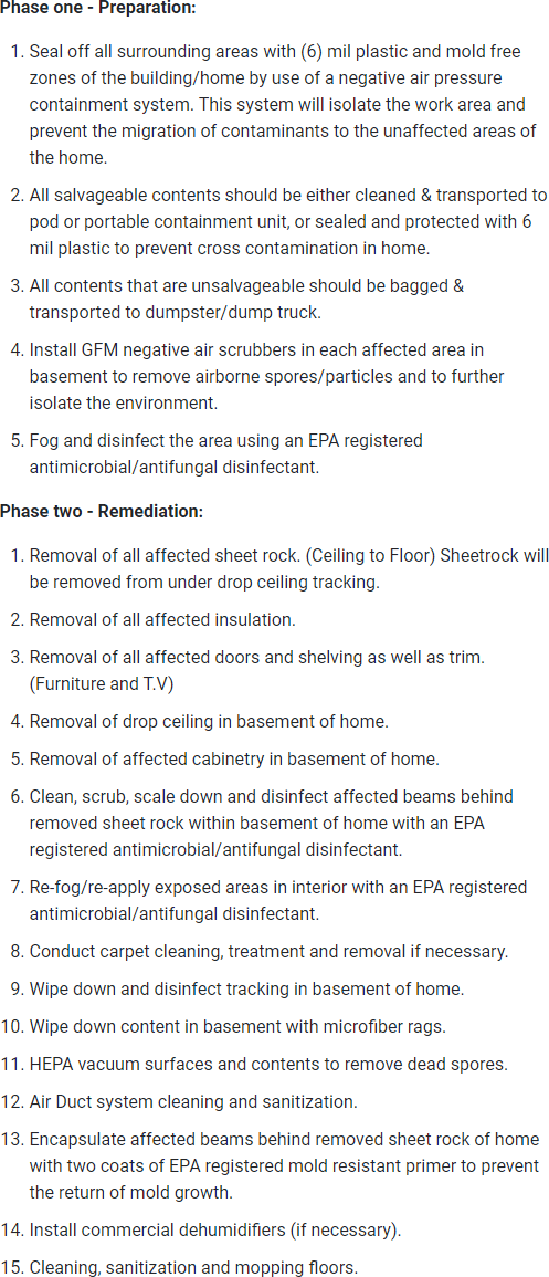 Basement Mold Removal Process