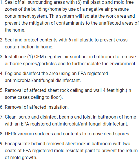Bathroom Mold Removal Process