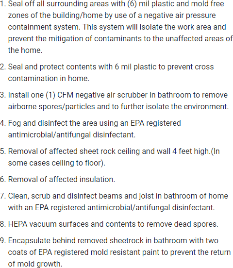 Certified Bathroom Mold Removal New Jersey
