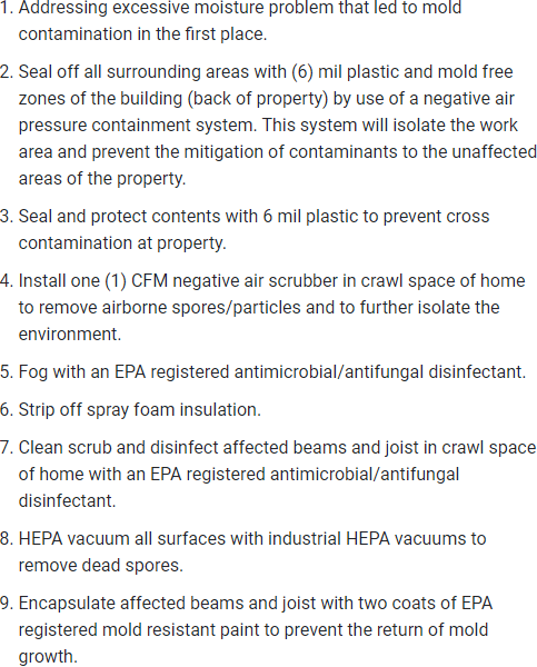 Crawl Space Mold Removal Process