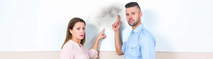Mold Inspection Services New Jersey