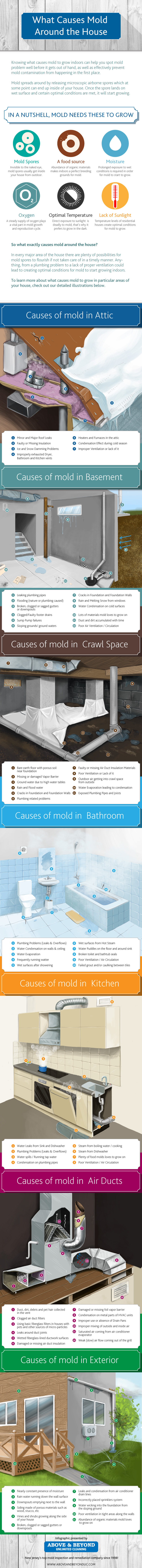 What causes mold around the house - Inforaphic