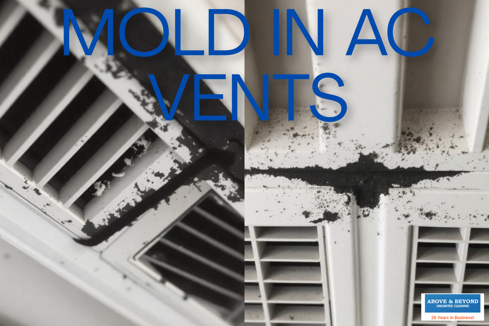 Black Mold In AC Vents: What To Know & How To Stay Safe